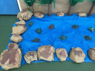 Exposição - Sustentabilidade